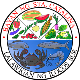 Santa Catalina seal
